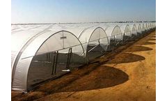 Richel - Model 6.20m & 8.50m - Multi-tunnel Greenhouses