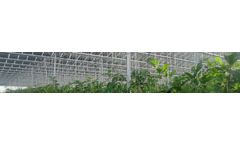 Richel Venlo - Greenhouses with Photovoltaic Covers