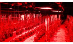 Richel - LED Light