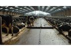 Dairymaster - Automatic Scraper System