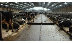 Dairymaster - Automatic Scraper System