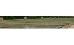 Agricultural Irrigation