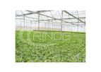 Trinog - Flat Channels for NFT System