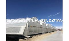 Trinog - Model ES - Plastic Greenhouse