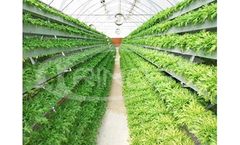 Trinog - A Shaped Cultivation System