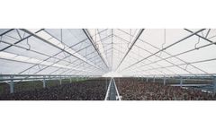 Wide Span Greenhouses