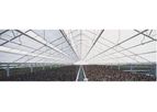 Venlo Greenhouses