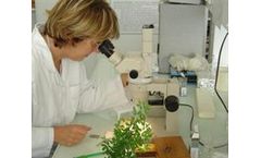 Consolidating Development in Research and Training