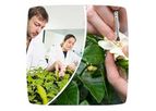 Plant Breeding Services