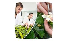 Plant Breeding Services