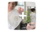 Phytoprotection Services