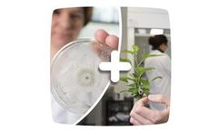 Phytoprotection Services