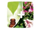 Phytochemistry Services