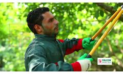 Pruning Tools - Video