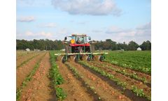 SBE - Sweet Potato Plow