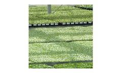 Young Plants Software