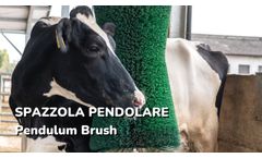 Pendulum Brush (Spazzola Pendolare) - Video