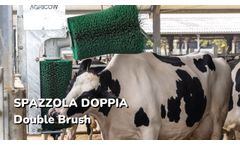 Double Brush - Video