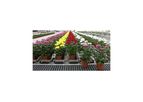 WPS - Pot Plants Sorting Systems