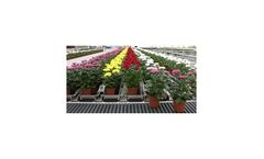 WPS - Pot Plants Sorting Systems