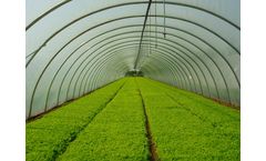 Agrimec - Model TS - Tunnel Greenhouses