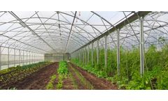 Agrimec - Model NM - Vertical Wall Multispan Greenhouse
