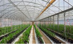 Agrimec - Model NM EVO - Vertical Wall Multispan Greenhouse