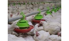 Pratiika - Broiler Feed Pan