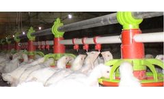 AZA - Model Duo - Feeder and Water Drinker System