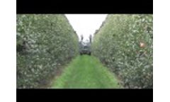 Billo S.r.l.  Video