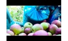 Tapis Video