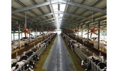 Livestock solutions for dairy cow sector