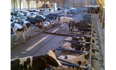 DairyPower - Eco-Clean Rope Scraper