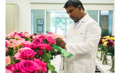 Research and Development Services