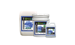 FloraLife - Model Express Clear 100 - Fresh Cut Flower Hydration and Treatment