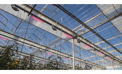 Svensson - Model Harmony 1315 O FR - Greenhouse Screen