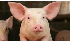 Manure Magic for Agriculture
