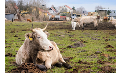 Wastewater Treatment Solutions for Livestock