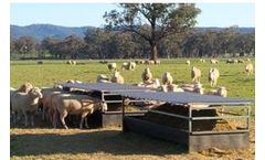 Jadan - Automatic Lamb Feeders