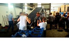 SORTING AND PACKAGING BLUEBERRIES AFTER KOKAN AIR HARVESTING - GERMANY 2019.