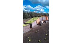 High Density Bin Carriers