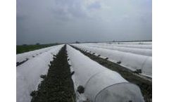 Idroland - Model TNT - Non-Woven Fabric