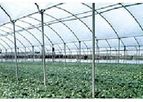 Idroland - Greenhouses and Tunnels Film Cover