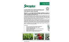 Products- Brochure