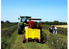 Jagoda JPS - Model Aronia - Harvesting Machine