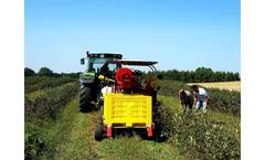 Jagoda JPS - Model Aronia - Harvesting Machine