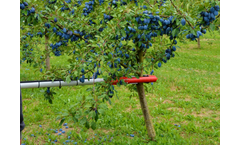 Jagoda JPS - Model PESTKA - Tree Shaker for Olives, Plums, Apples, Cherries and Others