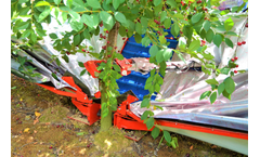 Jagoda JPS - Model GACEK - Automatic Tree shaker