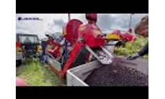 Berry Harvester OSKAR A01