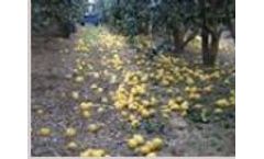 Dotan - Model DT-10 - Citrus Harvester